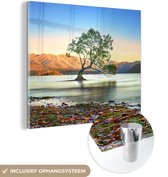 MuchoWow® Glasschilderij 90x90 cm - Schilderij acrylglas - Nieuw-Zeeland - Boom - Meer - Foto op glas - Schilderijen
