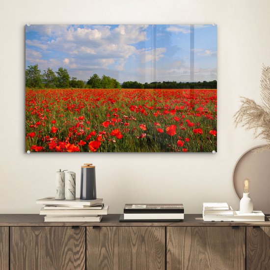 MuchoWow® Peinture sur verre 60x40 cm - Peinture acrylique sur verre - Coquelicots - Fleurs - Printemps - Photo sur verre - Peintures