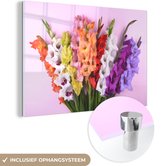 MuchoWow® Glasschilderij 90x60 cm - Schilderij acrylglas - Gladiolen - Bloemen - Kleuren - Foto op glas - Schilderijen