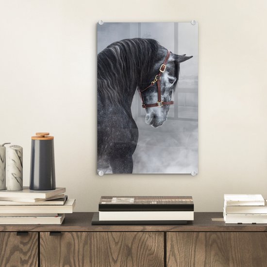 MuchoWow® Glasschilderij 20x30 cm - Schilderij acrylglas - Paard - Grijs - Bruin - Dieren - Rook - Foto op glas - Schilderijen