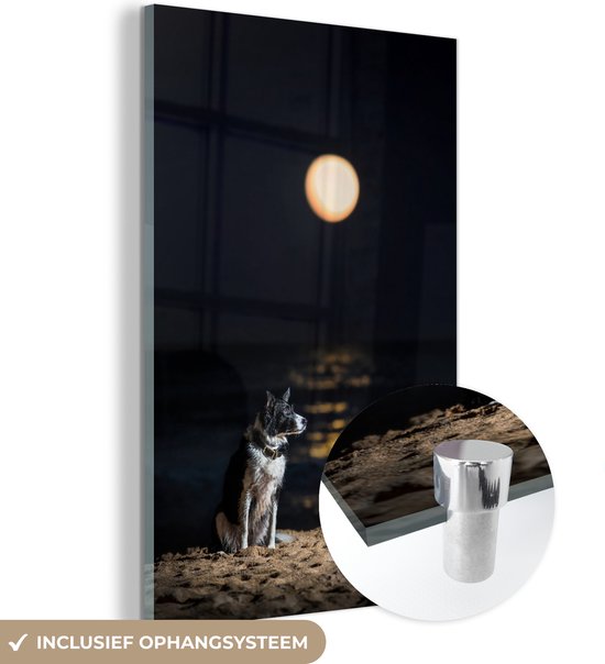 MuchoWow® Glasschilderij 20x30 cm - Schilderij acrylglas - Een portret van een border collie met een volle maan - Foto op glas - Schilderijen