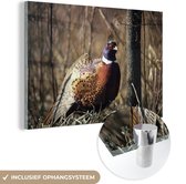 Peinture sur verre - Vogel - Faisan - Arbre - 150x100 cm - Peintures Plexiglas