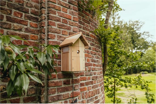 Nestera Nestkast Wifi Camera Met Zonnepaneel - Broeden - 19x22x34 cm Donker Hout - Nestera