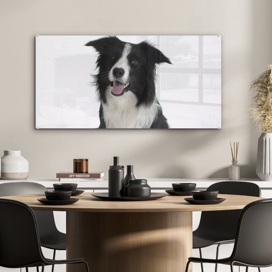 MuchoWow® Tableau sur Verre - Photo Portrait d'un Bon Border Collie Assis - 80x40 cm - Peintures sur Verre Acrylique - Photo sur Glas