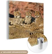 MuchoWow® Glasschilderij 90x90 cm - Schilderij acrylglas - Cheetah moeder en welpen - Foto op glas - Schilderijen