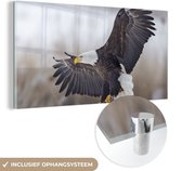 MuchoWow® Glasschilderij 80x40 cm - Schilderij acrylglas - Amerikaanse zeearend - Adelaar - Vogel - Foto op glas - Schilderijen