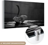 MuchoWow® Glasschilderij 40x20 cm - Schilderij acrylglas - Zwaan in het water - Foto op glas - Schilderijen