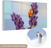 MuchoWow® Glasschilderij 120x60 cm - Schilderij acrylglas - Lieveheersbeestje op lavendelbloem - Foto op glas - Schilderijen