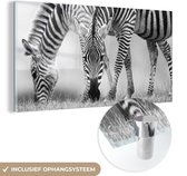 MuchoWow® Glasschilderij 40x20 cm - Schilderij acrylglas - Grazende zebra's - Foto op glas - Schilderijen