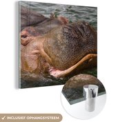 MuchoWow® Glasschilderij 90x90 cm - Schilderij acrylglas - Nijlpaard - Water - Foto op glas - Schilderijen
