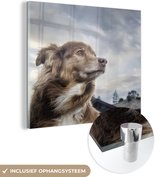 MuchoWow® Glasschilderij 90x90 cm - Schilderij acrylglas - Starende hond - Foto op glas - Schilderijen