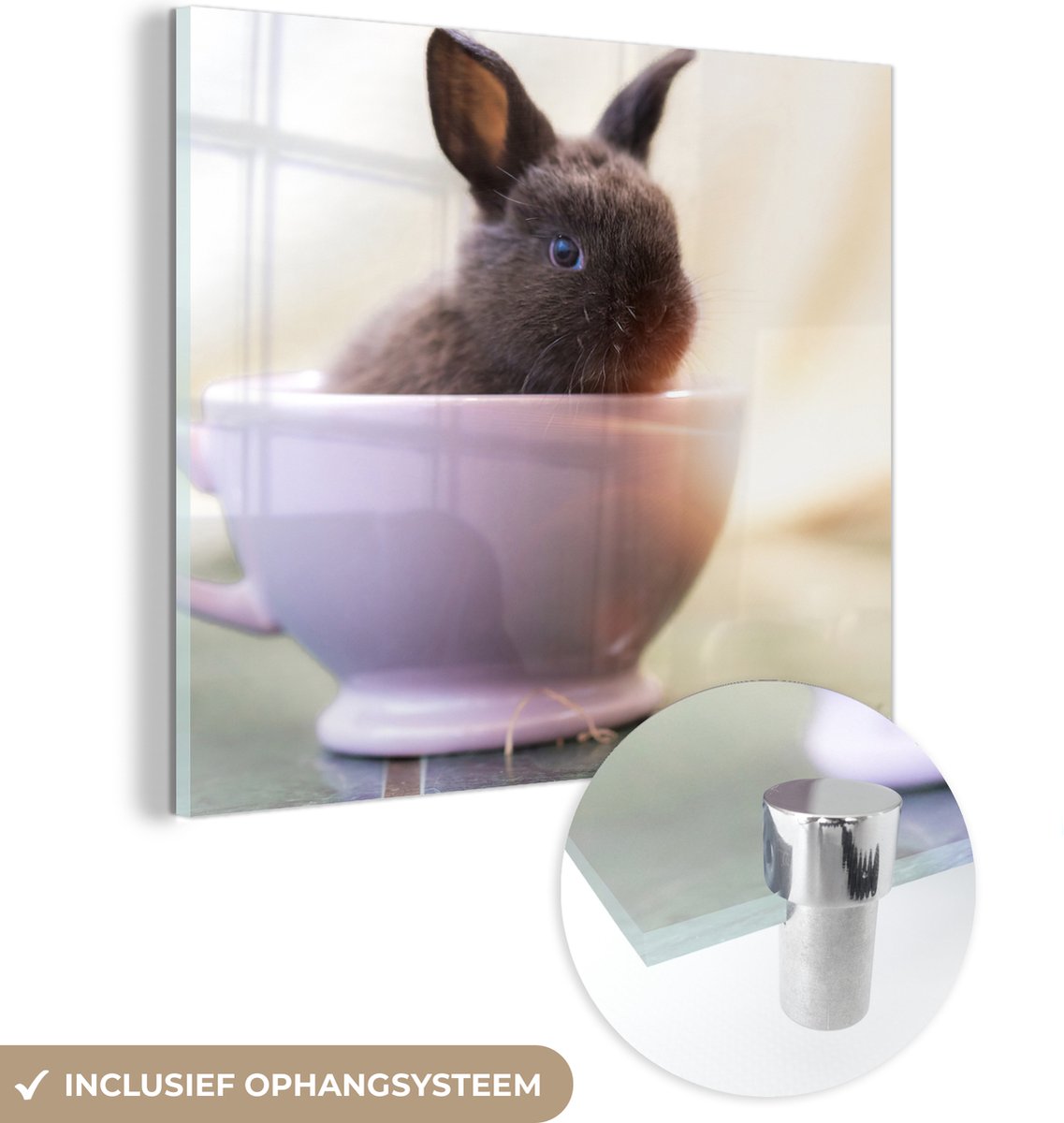 ® Glasschilderij 90x90 cm - Schilderij acrylglas - Konijn - Baby - Theekop - Foto op glas - Muurdecoratie woonkamer - Wanddecoratie slaapkamer - Schilderijen