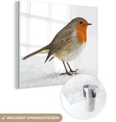 MuchoWow® Glasschilderij 50x50 cm - Schilderij acrylglas - Roodborstje - Sneeuw - Wit - Foto op glas - Schilderijen