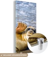 MuchoWow® Peinture sur Verre - Sceau - Drôle - Ondulation - 60x120 cm - Peintures sur Verre Peintures - Photo sur Glas