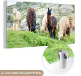 MuchoWow® Glasschilderij 160x80 cm - Schilderij acrylglas - Alpaca - Berg - Gras - Foto op glas - Schilderijen