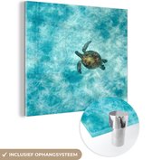 MuchoWow® Glasschilderij 20x20 cm - Schilderij acrylglas - Schildpad in de zee - Foto op glas - Schilderijen