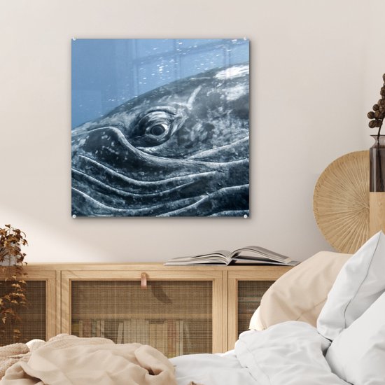 MuchoWow® Glasschilderij 50x50 cm - Schilderij acrylglas - Water - Dieren - Bultrug - Foto op glas - Schilderijen