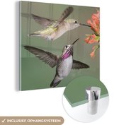 MuchoWow® Glasschilderij 20x20 cm - Schilderij acrylglas - Kolibrie - Vogels - Bloem - Foto op glas - Schilderijen