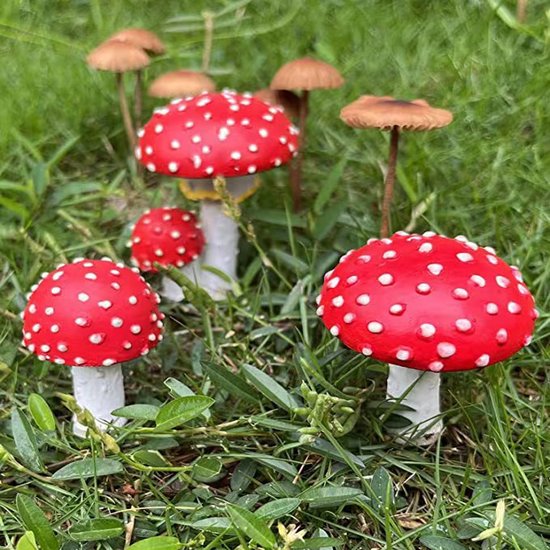 Un groupe de champignons rouges à pois blancs, avec des tiges blanches, dans de l'herbe verte.