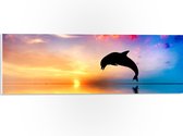 WallClassics - PVC Schuimplaat- Zonsondergang bij Silhouet van Dolfijn boven Water in Kleurrijke Omgeving - 60x20 cm Foto op PVC Schuimplaat