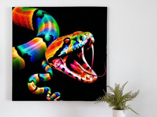 Rainbow Serpent Splatter kunst - 100x100 centimeter op Canvas | Foto op Canvas - wanddecoratie