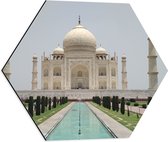 Dibond Hexagon - Taj Mahal in India - 50x43.5 cm Foto op Hexagon (Met Ophangsysteem)