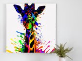 Vibrant Rainbow Giraffe kunst - 100x100 centimeter op Dibond | Foto op Dibond - wanddecoratie