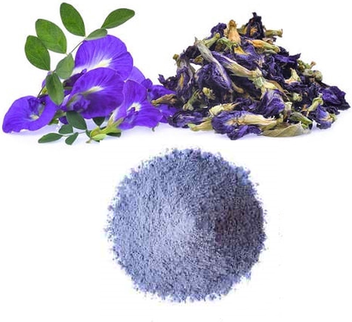 Goedkoopste Blue Butterfly Pea poeder - Kittelbloem - Blue Matcha - Blauwe Vlindererwt - Blue Butterfly Pea Flower - Natuurlijke kleurstof - Hoogste Kwaliteit - Cafeïnevrij - 50 gram
