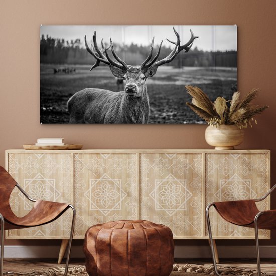 Tableau sur verre - Photo sur verre - Animaux - Cerf - Bois - Forêt - Nature - 120x60 cm - Verre acrylique - Décoration murale verre - Tableau sur verre cerf - Tableau sur verre animaux - Décoration d'intérieur
