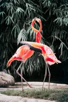Diamond painting de luxe 40x60cm - Flamingo's