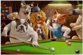 Diamond painting de luxe 40x50cm - Chiens billard