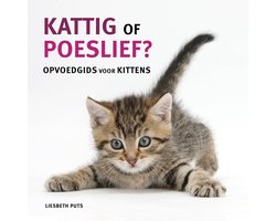 Kattig of poeslief
