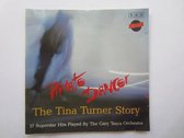 Private Dancer: The Tina Turner Story