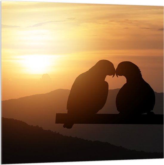 Acrylglas - Silhouet van Verliefd Duivenkoppel tijdens Zonsondergang - 100x100 cm Foto op Acrylglas (Met Ophangsysteem)
