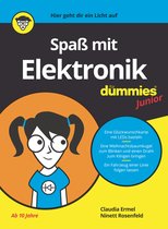 Spa Mit Elektronik Fur Dummies Junior