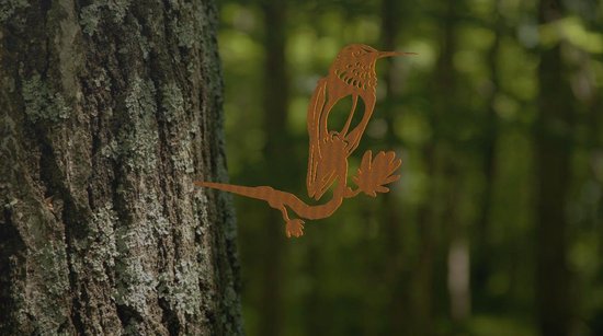 Cortenstalen Tuindecoratie - Kolibrie