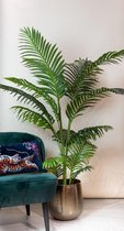 Kunstplant - Howea Forsteriana - Paradijspalm - 160 cm