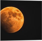 Vlag - Oranje Gloed over Maan - 50x50 cm Foto op Polyester Vlag