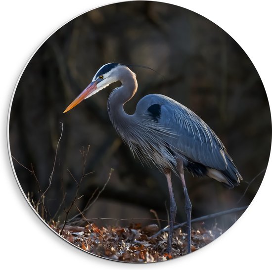 PVC Schuimplaat Muurcirkel - Reiger tussen de Kale Takken en Herfstbladeren in het Bos - 40x40 cm Foto op Muurcirkel (met ophangsysteem)