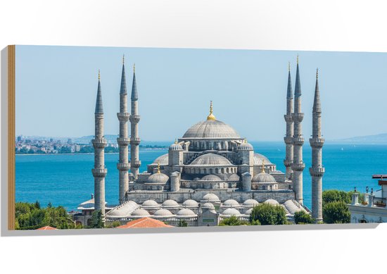 Hout - Sultan Ahmet Moskee aan de Zee van Turkije - 100x50 cm - 9 mm dik - Foto op Hout (Met Ophangsysteem)