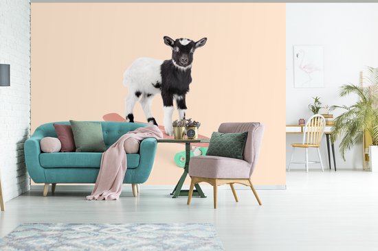 Behang - Fotobehang Geit - Zwart - Skateboard - Wit - Dieren - Breedte 325 cm x hoogte 260 cm