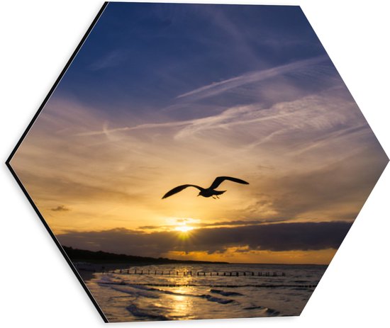 Dibond Hexagon - Silhouet van Meeuw vliegend boven Kalme Zee - 30x26.1 cm Foto op Hexagon (Met Ophangsysteem)
