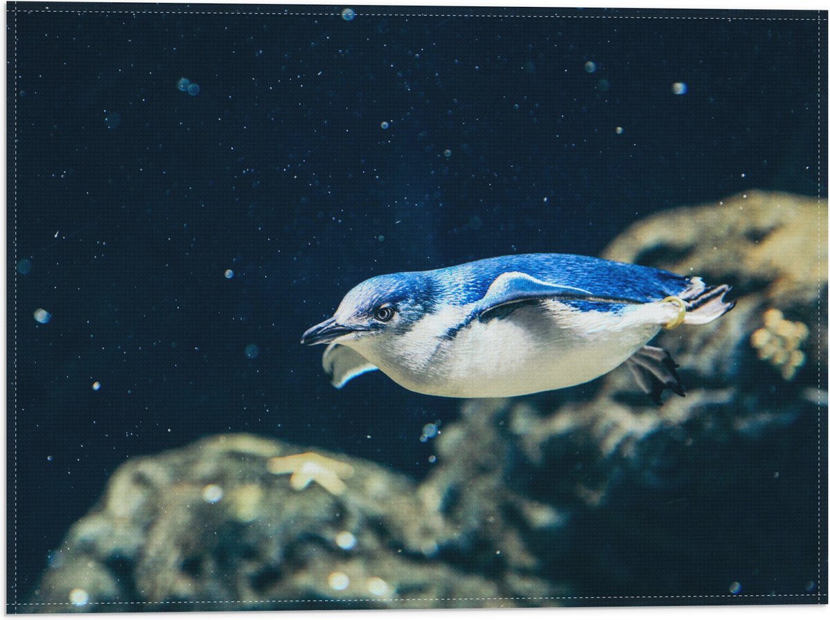 Vlag - Zwemmende Blauwe Pingïun door Aquarium - 40x30 cm Foto op Polyester Vlag