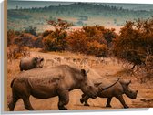 Hout - Overstekende Groep Neushorens met Antilopes in Afrika - 80x60 cm - 9 mm dik - Foto op Hout (Met Ophangsysteem)