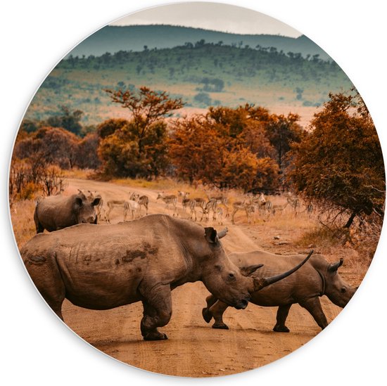 PVC Schuimplaat Muurcirkel - Overstekende Groep Neushorens met Antilopes in Afrika - 60x60 cm Foto op Muurcirkel (met ophangsysteem)