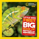 National Geographic Little Kids First Big Books- National Geographic Little Kids First Big Book of Reptiles and Amphibians