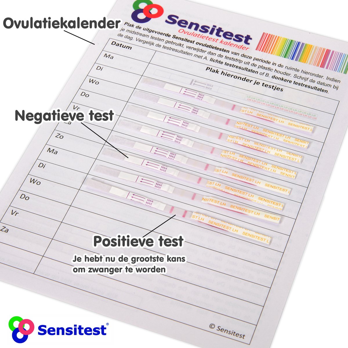 Sensitest Ovulatietest Dipstick – 6 stuks – Gevoelige ovulatietesten – Vind eenvoudig je vruchtbare dagen & vergroot je kans op zwangerschap – Inclusief ovulatiekalender & handleiding – foto 3