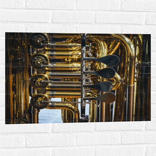 Muursticker - Knoppen van Gouden Trompet - 75x50 cm Foto op Muursticker
