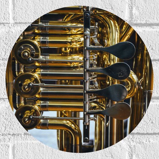 Muursticker Cirkel - Knoppen van Gouden Trompet - 30x30 cm Foto op Muursticker