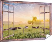 Gards Tuinposter Doorkijk Koeien in de Wei tijdens Zonsopgang - 180x120 cm - Tuindoek - Tuindecoratie - Wanddecoratie buiten - Tuinschilderij